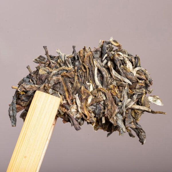 REN XIN CHANG Yunnan Pu-erh Raw Tea