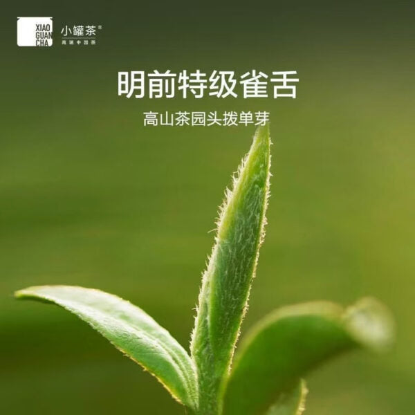 Xiao Guan Cha Silver Cans Series Premium Que She Green Tea