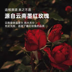 ZEW Ink Red Rose Tea