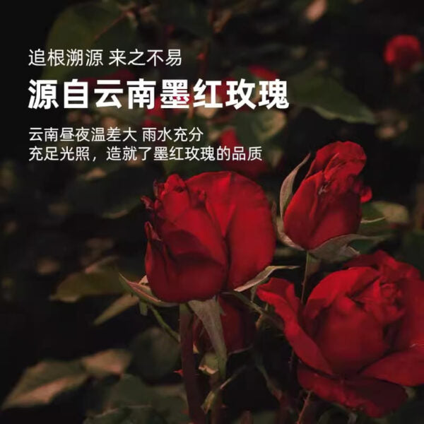ZEW Ink Red Rose Tea