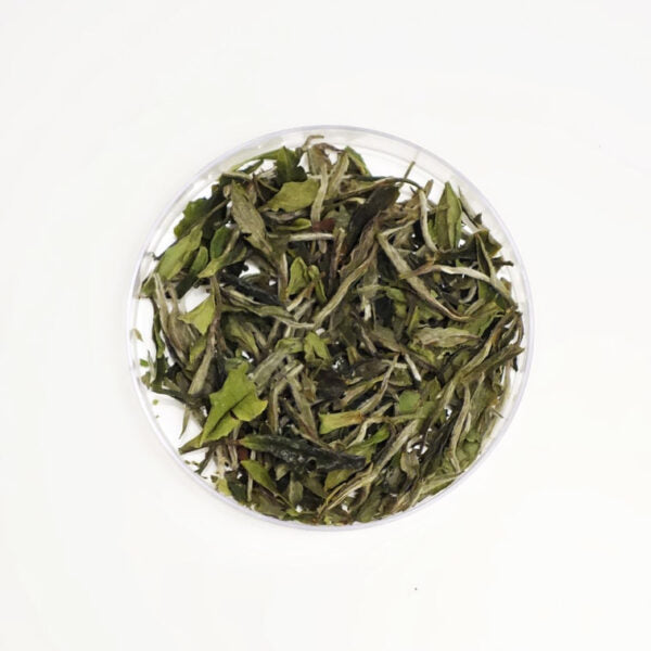 ZhaoTea Aromatic White Peony White Tea