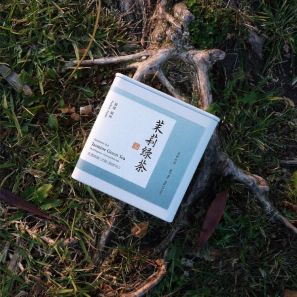 ZhaoTea Jasmine Green Tea