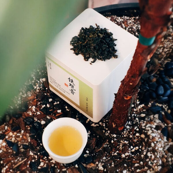 ZhaoTea Traditional Tie Guan Yin Oolong Tea