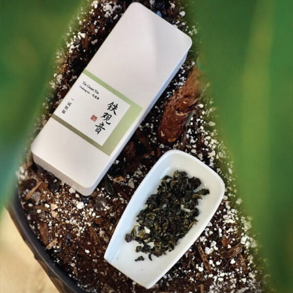ZhaoTea Traditional Tie Guan Yin Oolong Tea